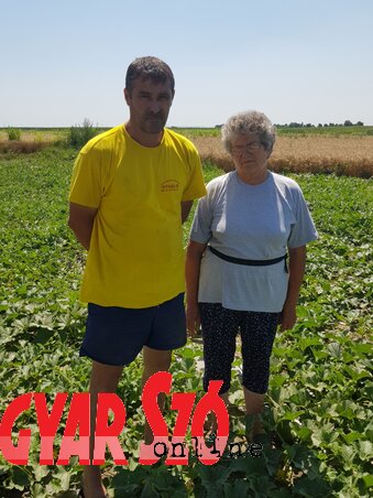 Fiuk, Tivadar is besegít a munkába (Fotó: Fehér Ildikó) Fiuk, Tivadar is besegít a munkába (Fotó: Fehér Ildikó)