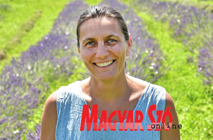 A levendula magyarkanizsai királynéja (Gergely Árpád felvétele) A levendula magyarkanizsai királynéja (Gergely Árpád felvétele)