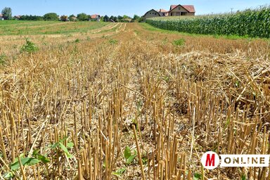 Az aratás befejeződött, a termés ára még bizonytalan (Fotó: Gergely Árpád)