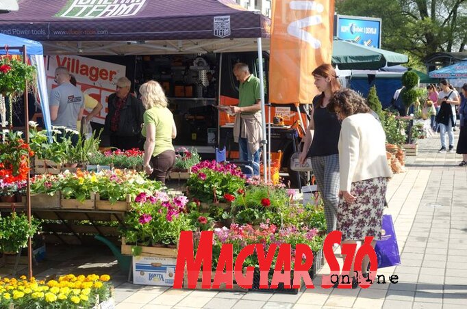A Pilin-kertészet egy vásáron(L. Móger Tímea felvétele) A Pilin-kertészet egy vásáron(L. Móger Tímea felvétele)