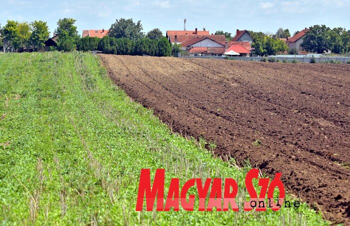 Az állami földek bérlői az idén időben megkezdhetik a talaj előkészítését (Gergely Árpád illusztrációja) Az állami földek bérlői az idén időben megkezdhetik a talaj előkészítését (Gergely Árpád illusztrációja)