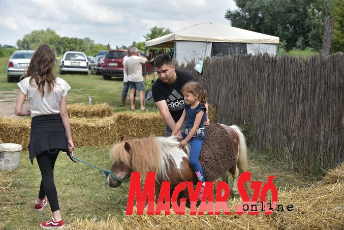 A kisebbeket póniló is várta (Fotó: Gergely Árpád) A kisebbeket póniló is várta (Fotó: Gergely Árpád)