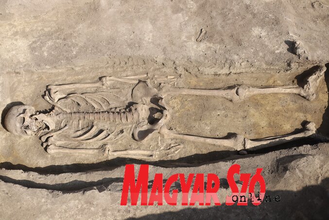 Egy jó állapotban megmaradt csontváz (Lakatos János felvétele)