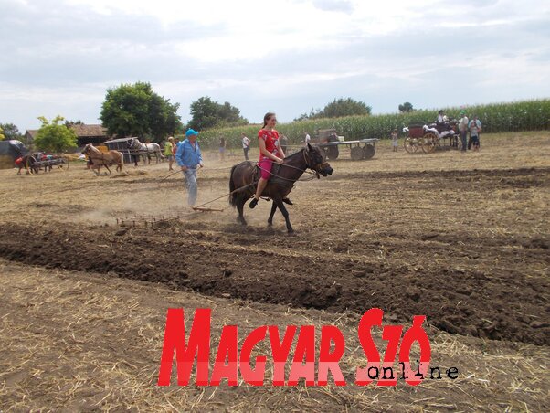 A rendezvény programjain kicsik és nagyok egyaránt jól érezhették magukat (Jenei Klementina felvétele)