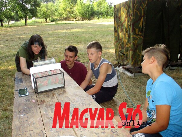 Halfotózás a haltani szakcsoport asztalánál (Sihelnik Ágnes felvétele) Halfotózás a haltani szakcsoport asztalánál (Sihelnik Ágnes felvétele)