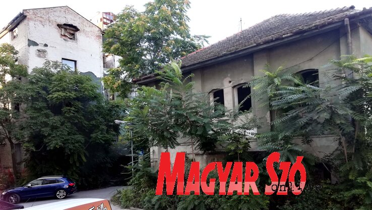 A Munkás utcában végiggyalogolva rendezett környék fogad, amíg oda nem érünk az egykori Albus gyár épületegyütteséhez (Dávid Csilla felvétele)