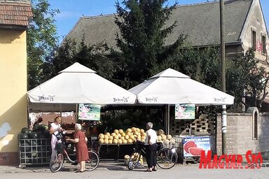 Paraczky László felvétele