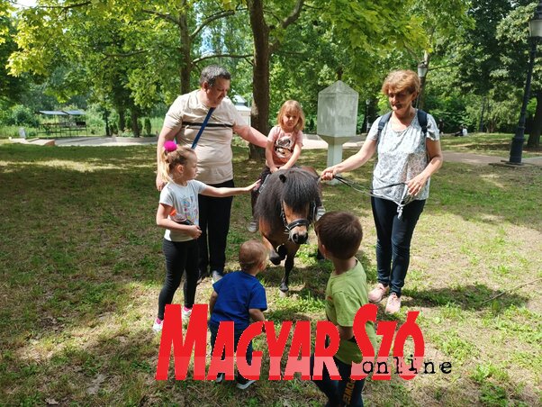 L. Móger Tímea felvétele L. Móger Tímea felvétele