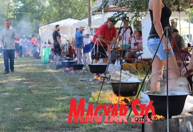 Összesn 44 bográcsban rotyogott a marhapörkölt (Fotó: Kiss Zoltán) Összesn 44 bográcsban rotyogott a marhapörkölt (Fotó: Kiss Zoltán)
