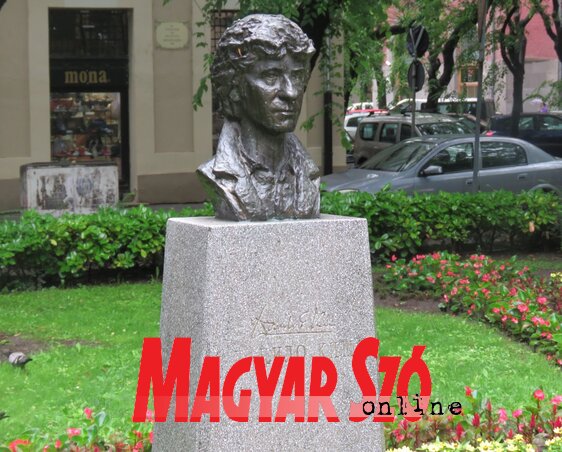 (Fotó: Patyi Szilárd) (Fotó: Patyi Szilárd)