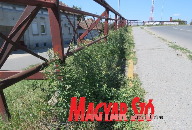 (Fotó: Patyi Szilárd) (Fotó: Patyi Szilárd)