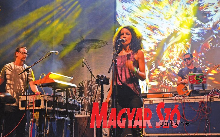 Zagar Budapestről (Dávid Csilla felvétele)