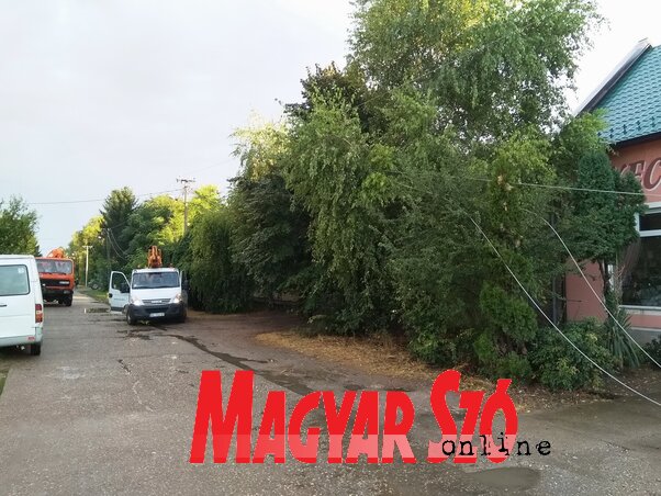 A villanyvezetékek visszahelyezése a Kossuth Lajos utcában (Lakatos János felvétele)