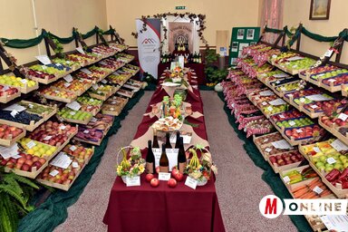 (Fotó: Gergely Árpád)