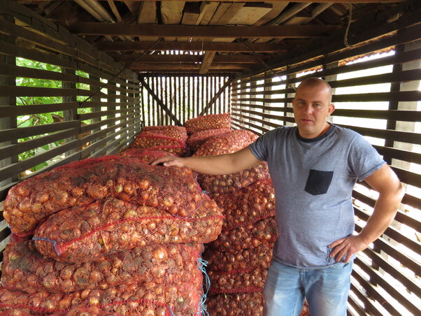 A Bálint Csaba termelte vöröshagyma a McDonald’-ba került (Csincsik Zsolt felvétele)