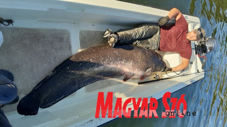 Siniša Gojkov felvétele