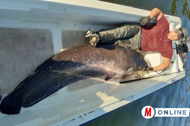 Siniša Gojkov felvétele