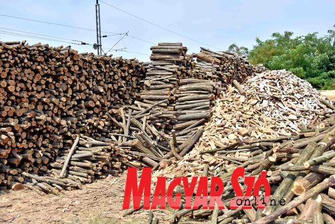 (Gergely Árpád archív felvétele)