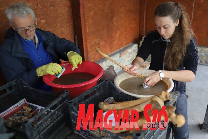 A feltárt csontok tisztítása (Lakatos János felvétele)