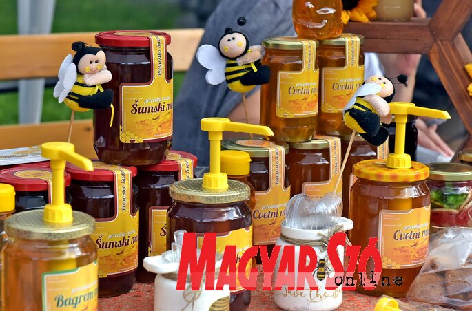 (Fotó: Gergely Árpád)