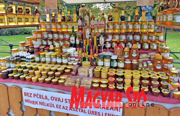 (Fotó: Gergely Árpád)