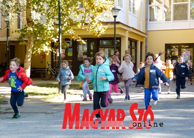 Vidáman futottak az ovisok is (Tóth Bálint felvétele) Vidáman futottak az ovisok is (Tóth Bálint felvétele)