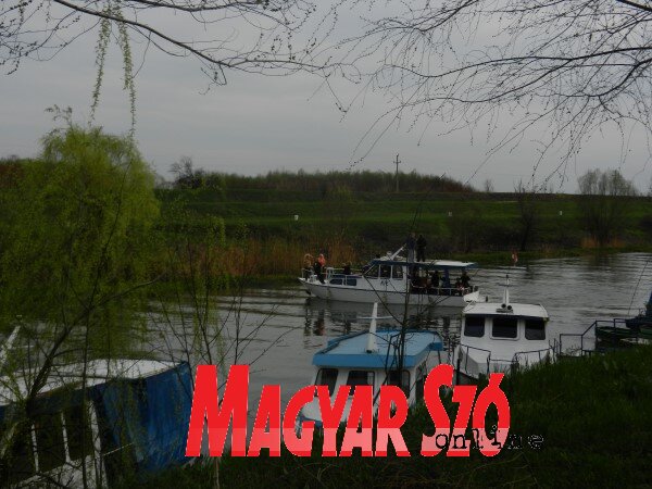 A készülő projektum turistacsalogató is lehet(Foto Zrenjanin felvétele)