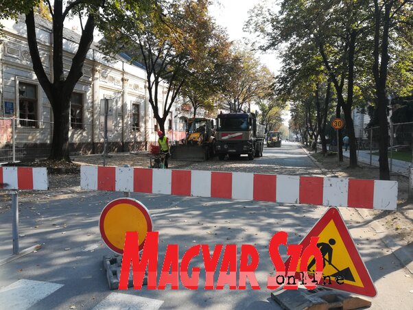 Fotó: Fehér Rózsa