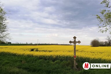 Tóth Péter felvétele