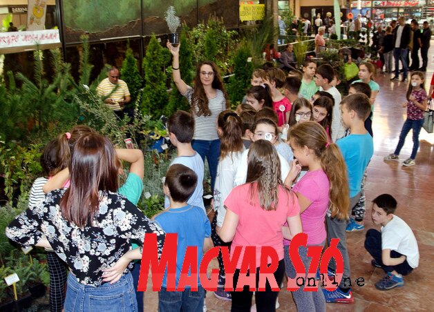 Fotó: Dávid Csilla