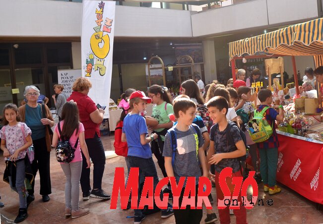 Fotó: Dávid Csilla