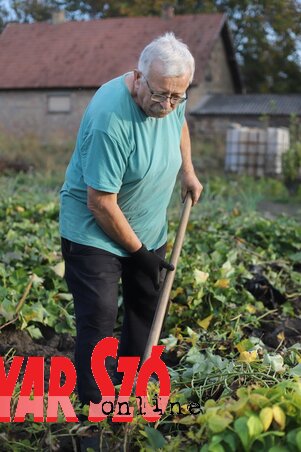 A mozgás az egészséges életmód elengedhetetlen része (Lakatos János felvétele)