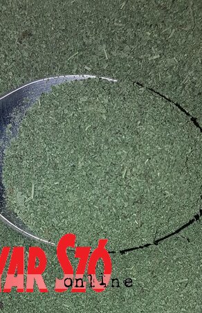 A darált citromfű jó a stresszoldásra és az álmatlanság ellen is (Lakatos János felvétele) A darált citromfű jó a stresszoldásra és az álmatlanság ellen is (Lakatos János felvétele)