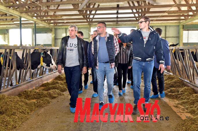 Branislav Nedimović Balassa Miklós farmján Branislav Nedimović Balassa Miklós farmján