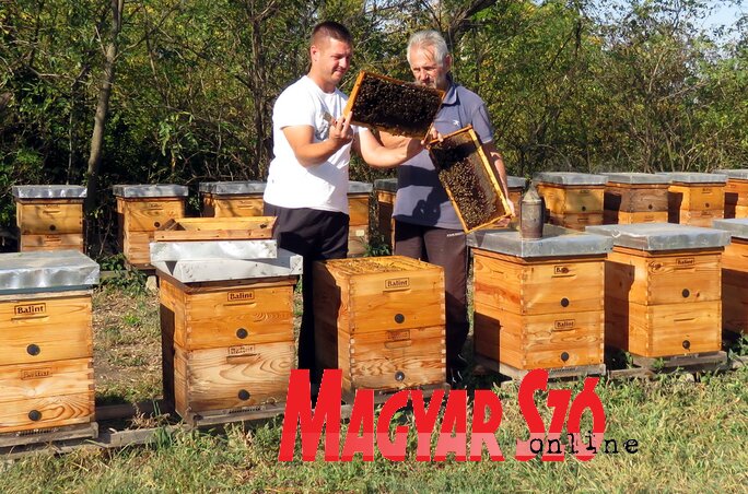 Jó állapotban van a méhállomány (Fotó: Kecskés István)