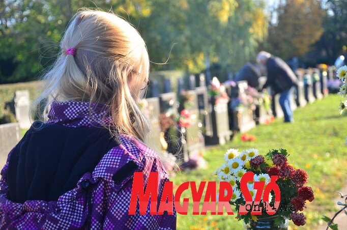 Fotó: Dávid Csilla