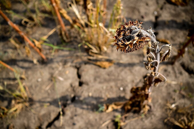 A területek, amelyeknél radikális előrelépésre volna szükség: a népességszabályozás, az energiaellátás és az étkezési szokások megváltoztatása, valamint a természeti környezet stabilizálása és regenerálása (Fotó: Beta)