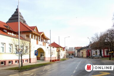 Magyarkanizsán nagyon sok privát tulajdonost érinthet a konvertálás (Fodor István fellvétele)