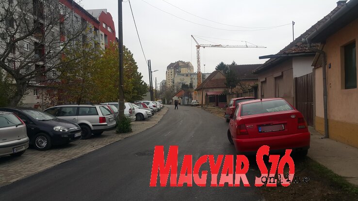 (Fotó: Lackó Varjú Sára) (Fotó: Lackó Varjú Sára)