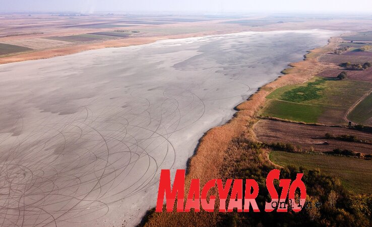 Októberi száraz tómeder(Farkas Géza felvétele)