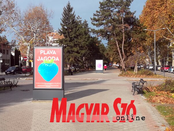 (Fotó: Benedek Miklós) (Fotó: Benedek Miklós)
