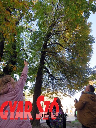 Így tanulnak a gyerekek (Kecskés István felvétele) Így tanulnak a gyerekek (Kecskés István felvétele)