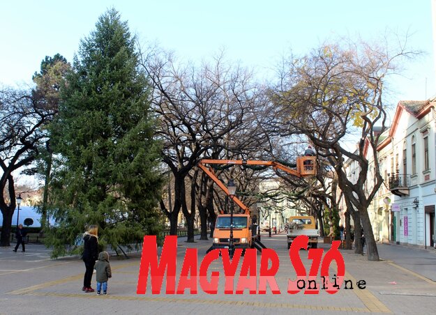 (Fotó: Benedek Miklós) (Fotó: Benedek Miklós)