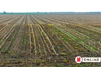 A földeket az idei évtől kezdve tízéves időtartamra vehetik bérbe a termelők (Fotó: Gergely Árpád)