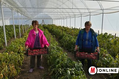 Fotó: Fehér Rózsa