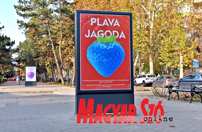 (Fotó: Gergely Árpád) (Fotó: Gergely Árpád)