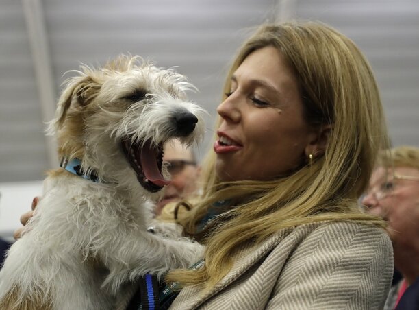 Láthatóan ők is elégedettek a voksolás kimenetelével. Carrie Symonds, a kormányfő partnere és Dilyn nevű kutyájuk (Fotó: Ap via Beta)