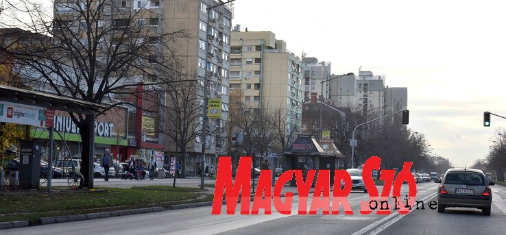 Újvidéken tovább épülnek az urbánus zsebekként ismert közterek, az Újtelepen is nagy szükség mutatkozik ezek iránt. Ebben az 1977 és 1980 között kiépült városrészben most 40 ezernél is többen laknak (Ótos András felvétele)