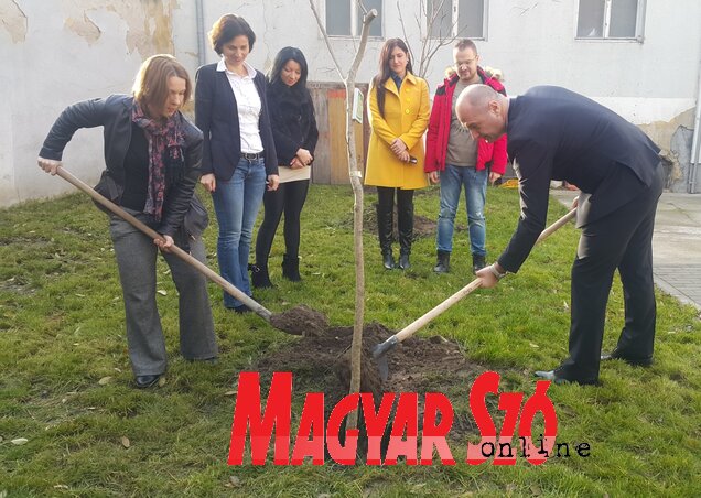 (Fotó: Lackó Varjú Sára) (Fotó: Lackó Varjú Sára)