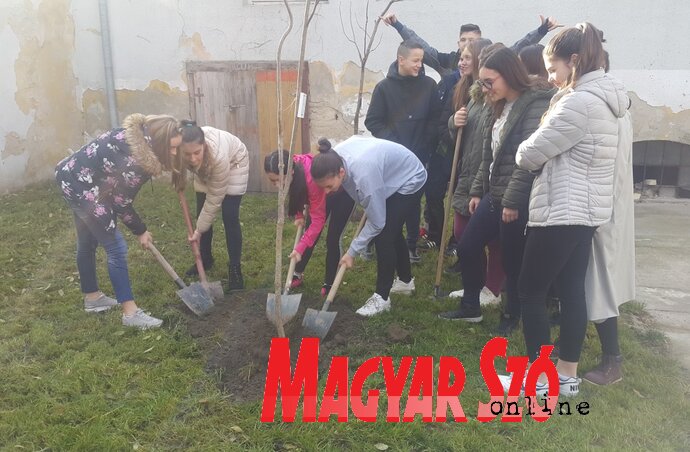 (Fotó: Lackó Varjú Sára) (Fotó: Lackó Varjú Sára)